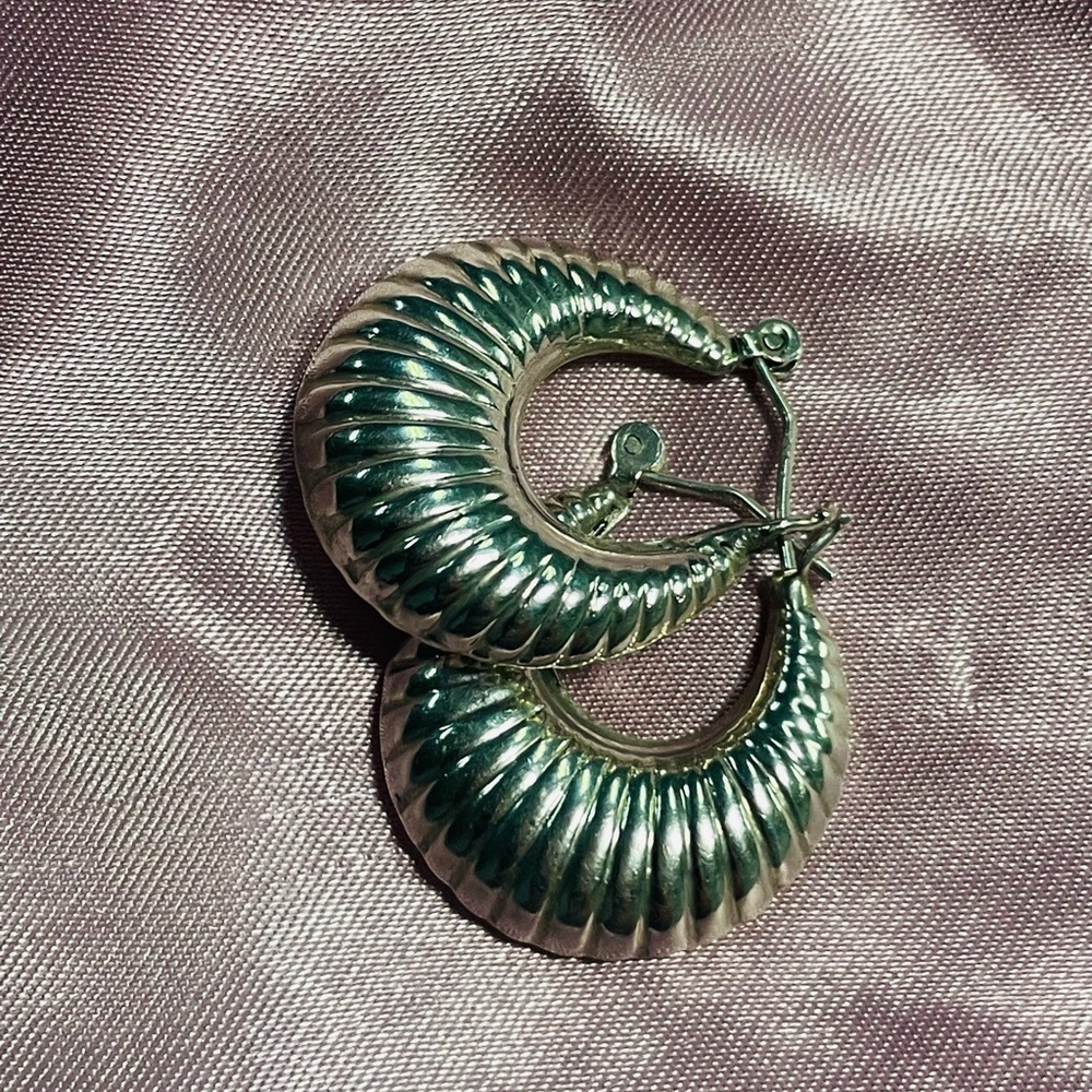 Elegant Silver Hoop Earrings